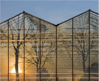 Venlo tugev tuulekindel lumekindel polükarbonaatvalgusest vähene kasvuhoone