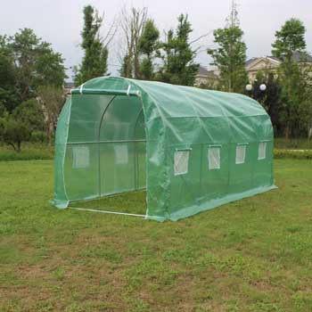 Tomatoes/Flowers Walk-in Greenhouse for Home Backyard
